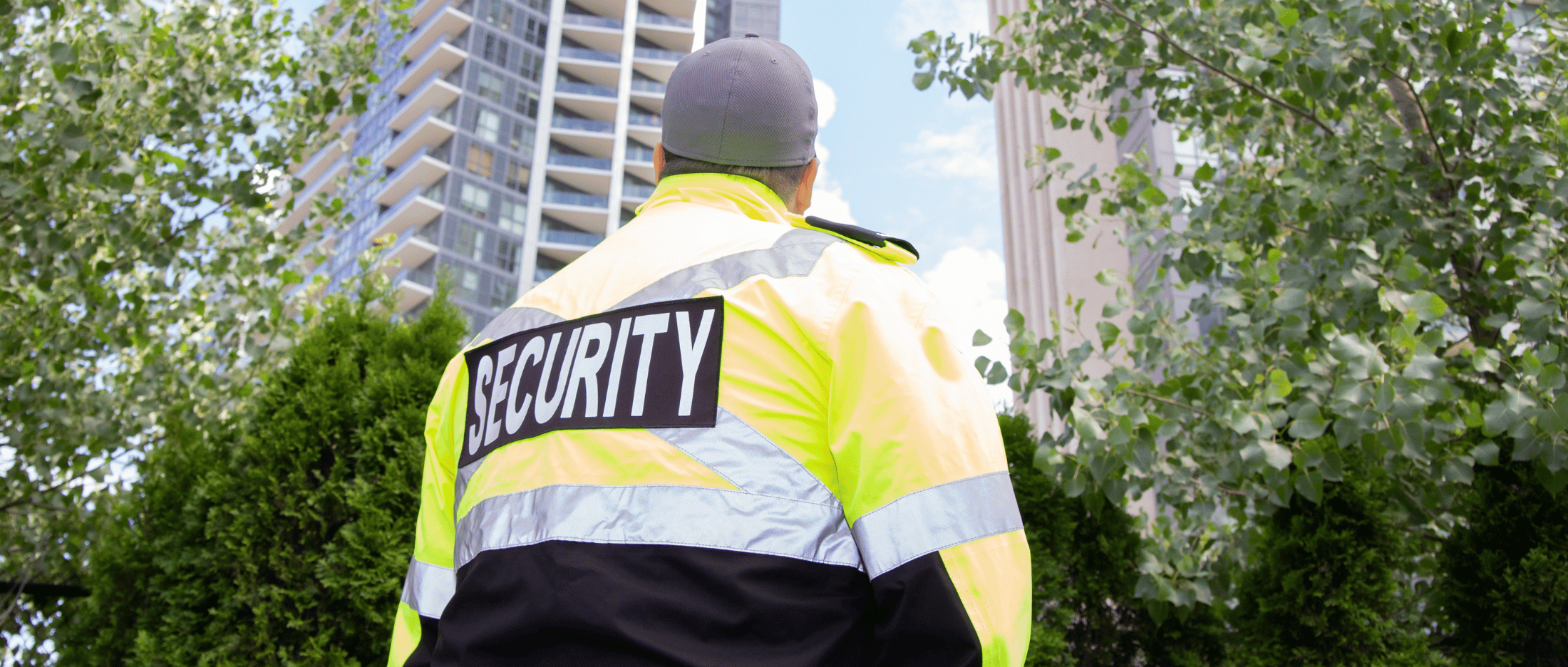 Stephen Doyle-Service Page